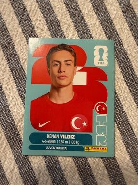 Panini Soccer Card - Kenan Vildiz, Turkey